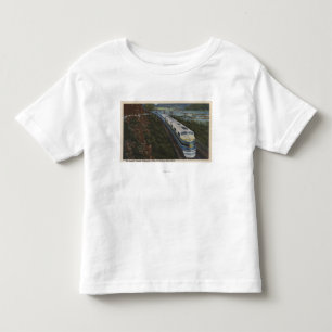 Train- Streamlining through Potomac Toddler T-Shirt