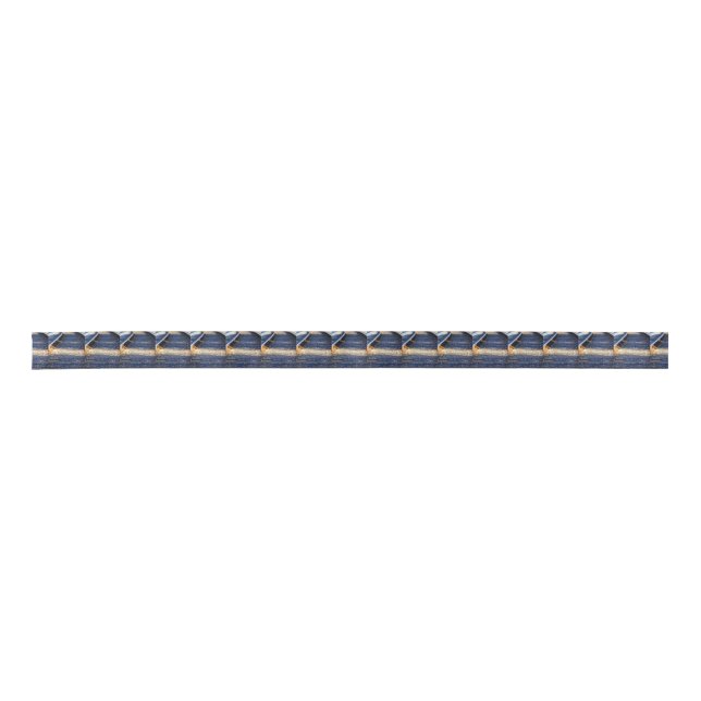 Train Tacks Satin Ribbon (Front)