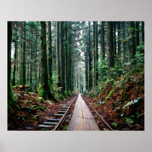 Train Tracks in the Forest Poster