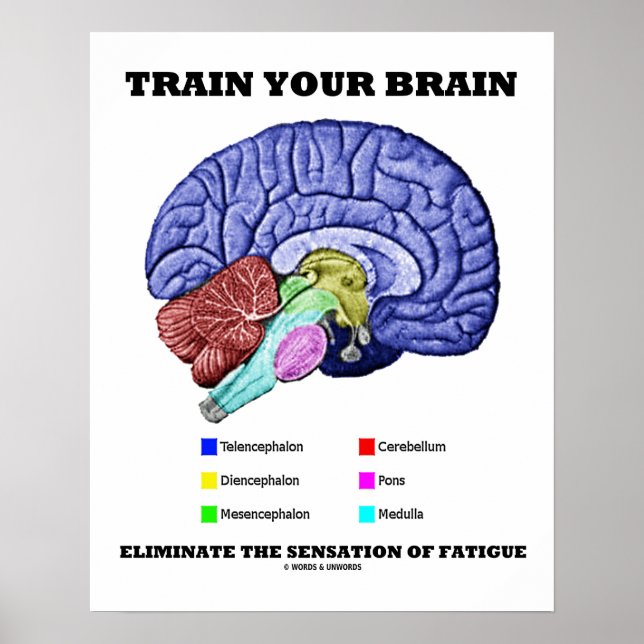 Train Your Brain Eliminate Sensation Of Fatigue Poster (Front)