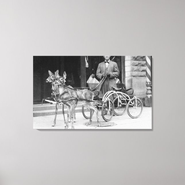 Trained Deer Harnessed to an Odd Sleigh on Wheel Canvas Print (Front)