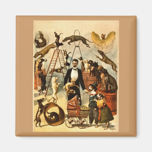 Trained Dog Act 1899 - Vintage Circus Act Poster Magnet
