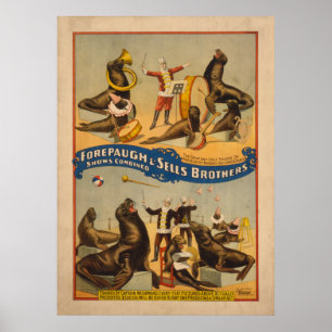 Trained Seals Circus Poster - Forepaugh & Sells