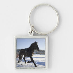 Training of horses in a wintry landscape, key ring