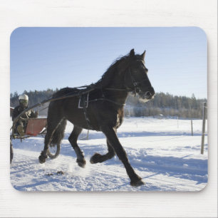 Training of horses in a wintry landscape, mouse mat
