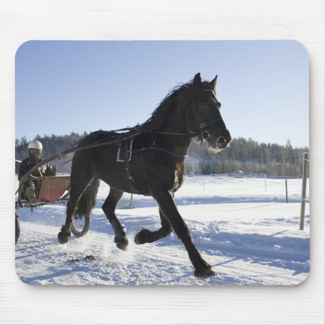 Training of horses in a wintry landscape, mouse mat (Front)