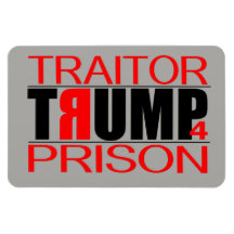 TraitorTrump 4 Prison