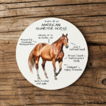 Traits of an American Quarter Horse