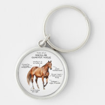 Traits of an American Quarter Horse