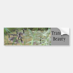 Tranquil Beauty Inspirational Bumper Sticker
