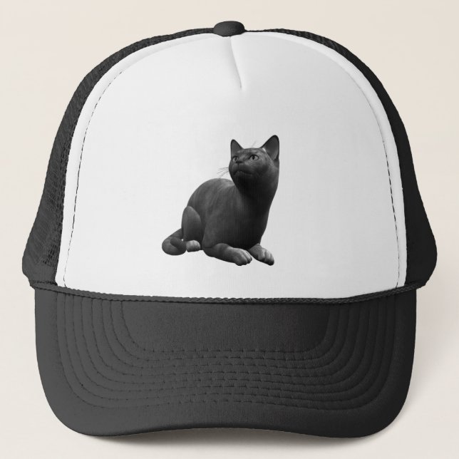 Tranquil Black Cat Hat (Front)