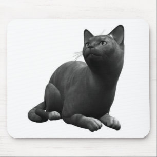 Tranquil Black Cat Mouse Pad