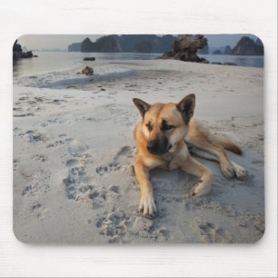 Tranquil Dog on the Beach Mouse Mat