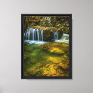 Tranquil Forest Stream Framed Canvas Art Print