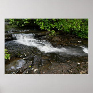 Tranquil Forest Waterfall Poster
