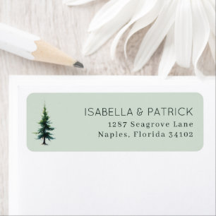 Tranquil Green Evergreen Tree