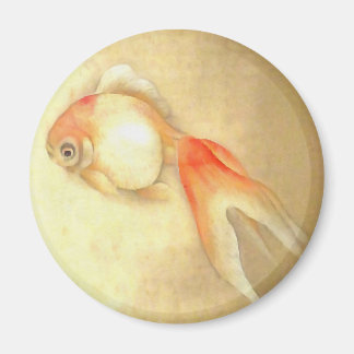 Tranquil Japanese Goldfish Magnet