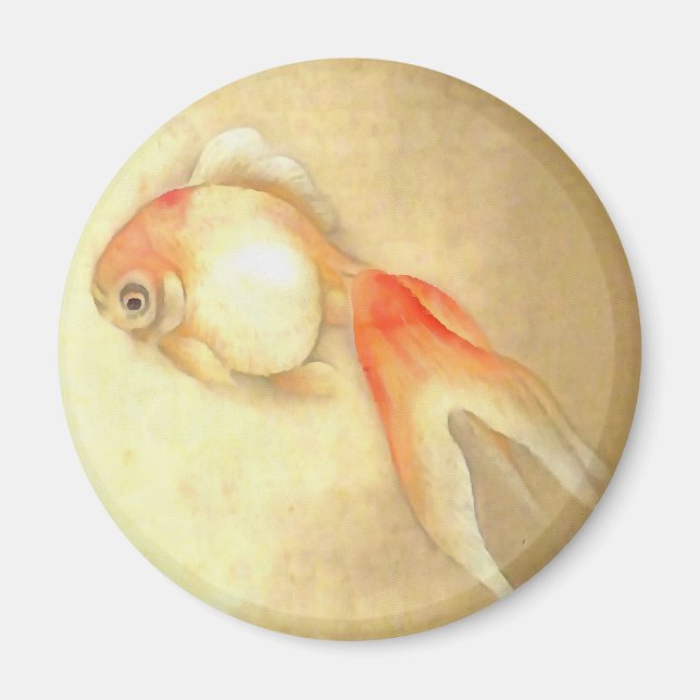 Tranquil Japanese Goldfish Magnet (Front)