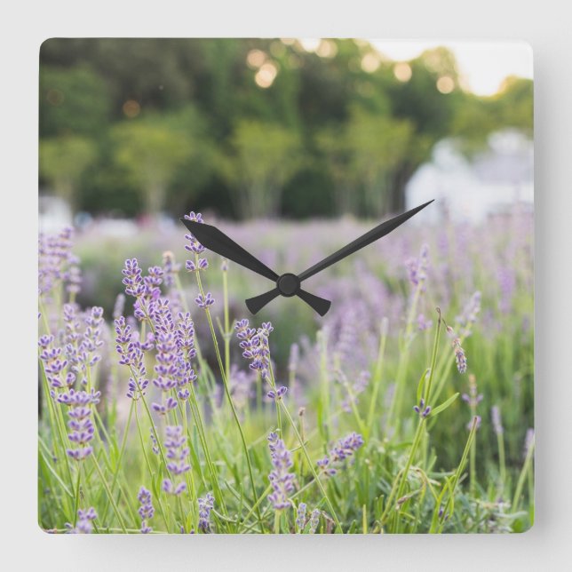 Tranquil Lavender Field Square Wall Clock (Front)