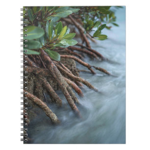 Tranquil Mangrove Roots Ocean Notebook