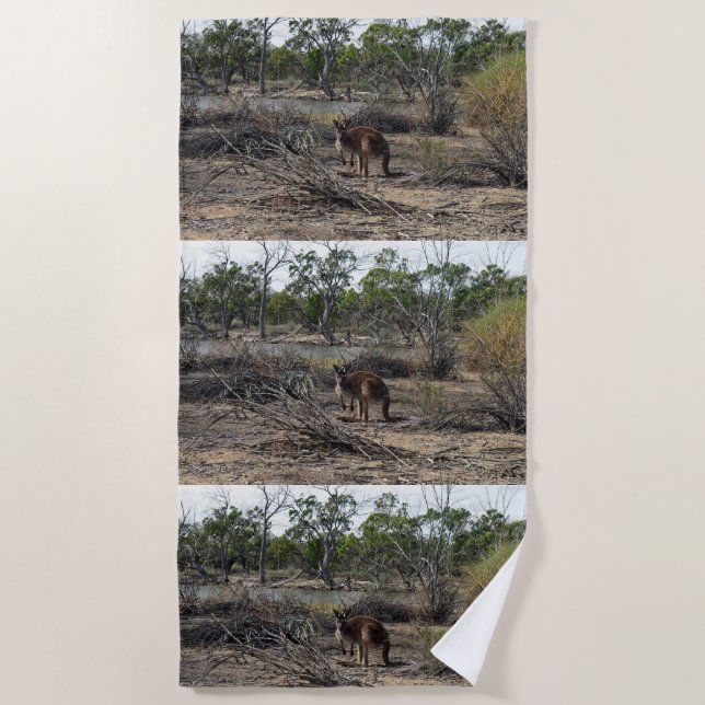Tranquil Moment: Australian Kangaroo at Billabong Beach Towel (Front)