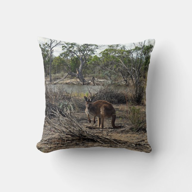 Tranquil Moment: Australian Kangaroo at Billabong Cushion (Front)