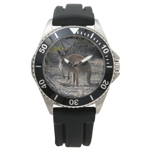 Tranquil Moment: Australian Kangaroo at Billabong Watch (Front)