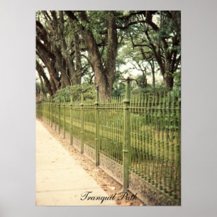Tranquil Path print