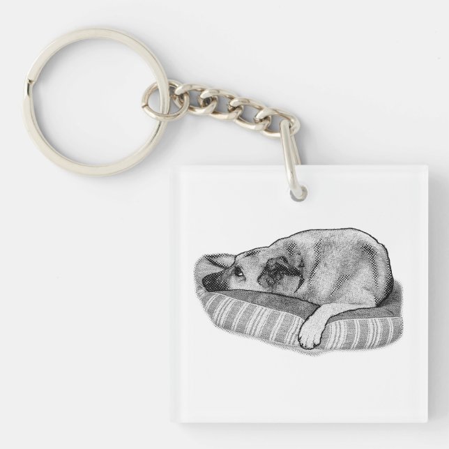 Tranquil Paws, Retro Carry Fob Key Ring (Front)
