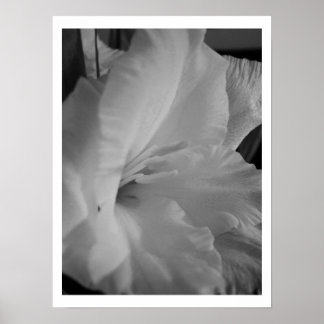 Tranquil Poster