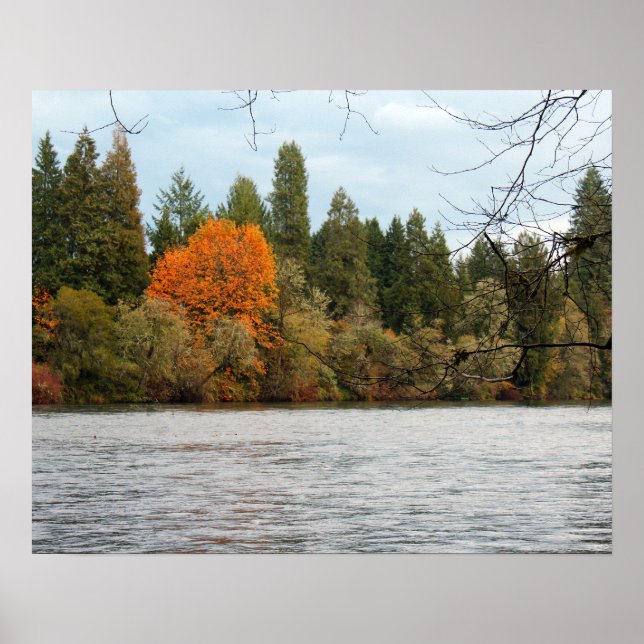 Tranquil River Poster (Front)