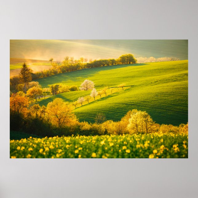 Tranquil rural landscape in sunbeams. Beautiful su Poster (Front)