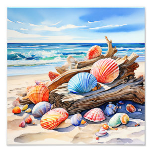Tranquil Seascape: Driftwood and Seashells Photo Print