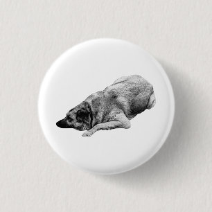 Tranquil Shaded Dog Brightens Up Holiday Apparel 3 Cm Round Badge
