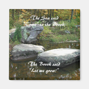 Tranquil Stream - Magnet #2
