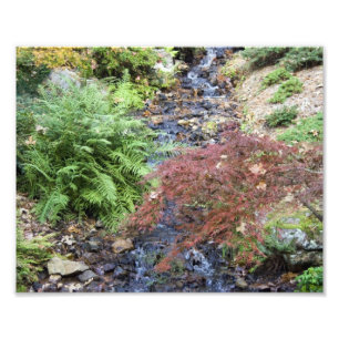 Tranquil Stream Photo Print