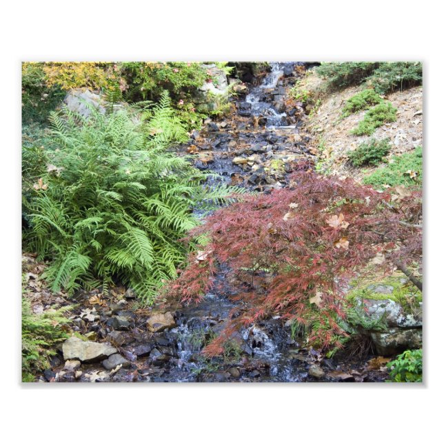 Tranquil Stream Photo Print (Front)