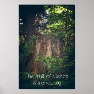 Tranquil summer forest poster