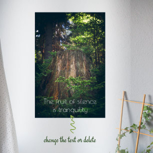 Tranquil summer forest  poster