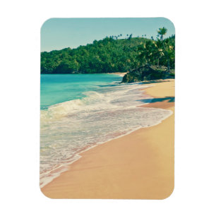 Tranquil Tropical Island Beach Magnet