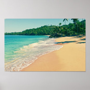 Tranquil Tropical Island Beach Poster