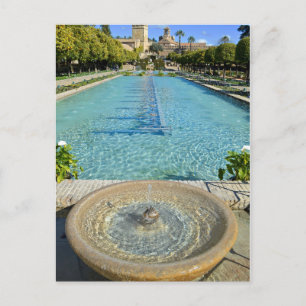 Tranquil Water Feature Garden Postcard