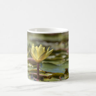 Tranquil Water Lily Coffee Mug – Nature Photograph
