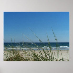 Tranquility Poster