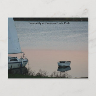 Tranquillity at Codorus State Park Postcard
