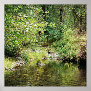 Tranquillity in the woods...... poster