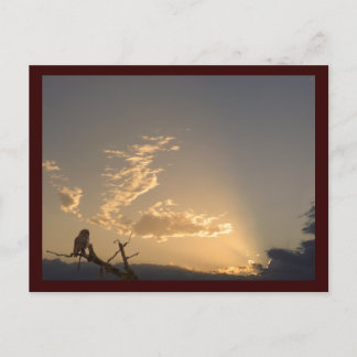 Tranquillity Postcard