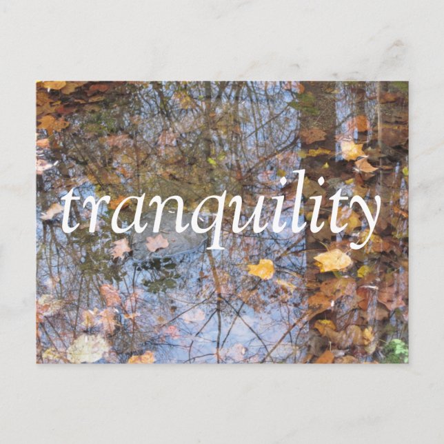 Tranquillity Postcard (Front)