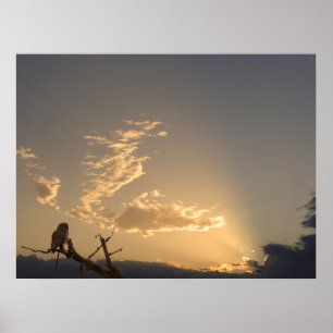 Tranquillity Poster