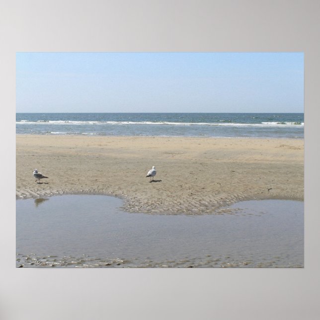 Tranquillity Poster (Front)